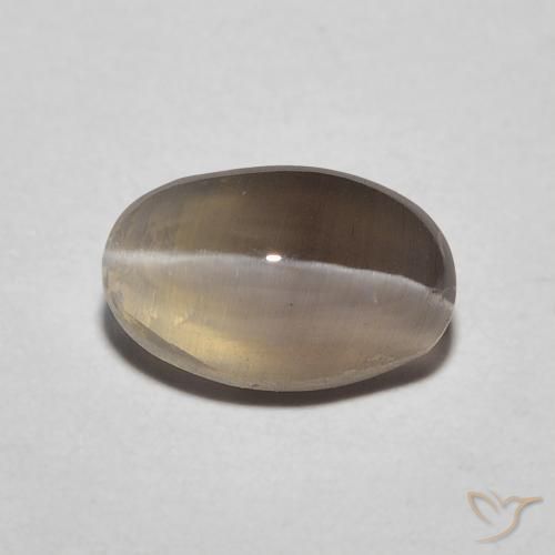 1.20ct طبيعي بنى إسبرسو عين القط سيليمانايت, بيضوي, نصف شفاف