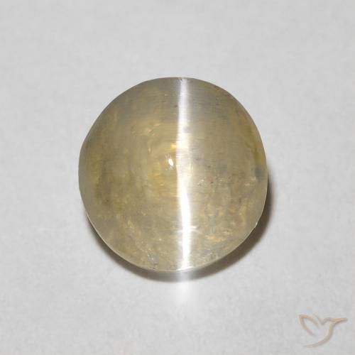 1.45ct طبيعي بنى التورتيا فاتح عين القط سيليمانايت, بيضوي, شفاف