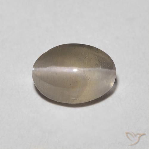 0.92ct طبيعي بنى التورتيا فاتح عين القط سيليمانايت, بيضوي, شفاف
