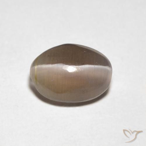 0.88ct طبيعي بنى متوسط عين القط سيليمانايت, بيضوي, شفاف