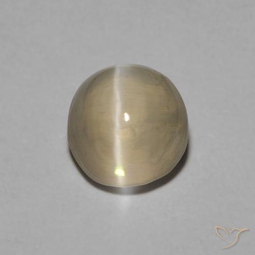1.22ct طبيعي بنى أصفر فاتح عين القط سيليمانايت, بيضوي, شفاف