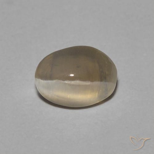 0.81ct طبيعي بنى أصفر فاتح عين القط سيليمانايت, بيضوي, شفاف