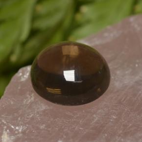 كوارتز دخاني طبيعي بلون Chocolate Brown ، وزن ‎6.82‎ قيراط، شكل دائري، مقاس ‎12.07‎ مم