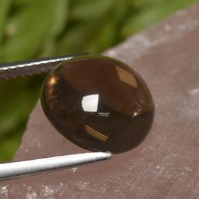 كوارتز دخاني طبيعي بلون Chocolate Brown ، وزن ‎6.82‎ قيراط، شكل دائري، مقاس ‎12.07‎ مم
