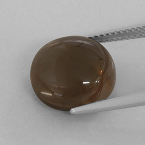 كوارتز دخاني طبيعي بلون Chocolate Brown ، وزن ‎7.52‎ قيراط، شكل شفاف، مقاس ‎12.18‎ مم