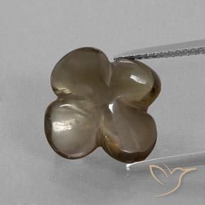6.24ct طبيعي بنى العنبر كوارتز سموكى, قص وردة, شفاف / نصف شفاف