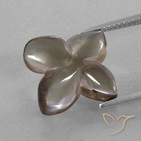 6.82ct طبيعي بنى فاتح جدا كوارتز سموكى, قص وردة, شفاف / نصف شفاف