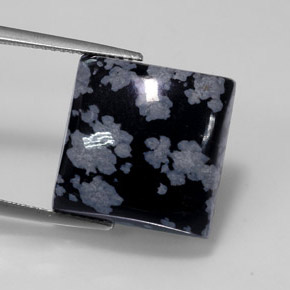 ندفة الثلج سبج أسود رمادى-أبيض طبيعي، مربع، 12.36 قيراط، غير شفاف