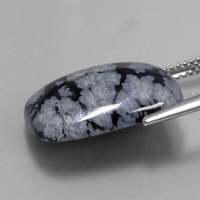 ندفة الثلج سبج أسود رمادى-أبيض طبيعي، قطع وسادة، 10.02 قيراط، غير شفاف