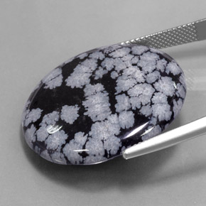 ندفة الثلج سبج أسود رمادى-أبيض طبيعي، قصة دائرى، 27.54 قيراط، غير شفاف