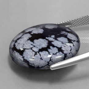 ندفة الثلج سبج أسود رمادى-أبيض طبيعي، قصة دائرى، 28.36 قيراط، غير شفاف