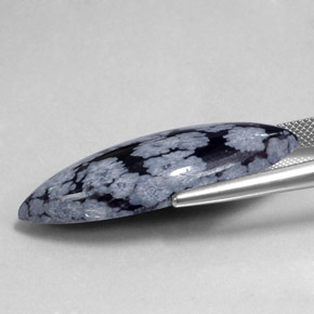 ندفة الثلج سبج أسود رمادى-أبيض طبيعي، ماركيز، 19.85 قيراط، غير شفاف
