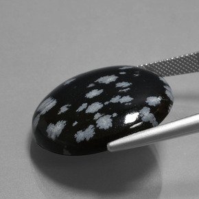 سبج ندفة الثلج طبيعي بلون أسود أبيض، وزن ‎26.06‎ قيراط، شكل دائري، مقاس ‎24.87‎ مم