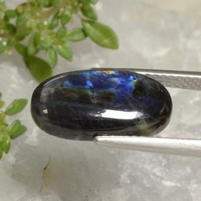 سبيكترولايت متعدد الألوان طبيعي، قصة بيضاوى، 3.52 قيراط، غير شفاف