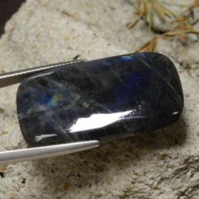 سبيكترولايت متعدد الألوان طبيعي، قطع وسادة، 24.96 قيراط، غير شفاف