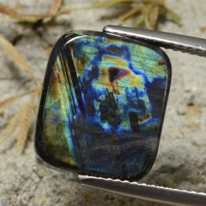 سبيكترولايت متعدد الألوان طبيعي، قطع وسادة، 6.03 قيراط، غير شفاف