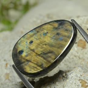 سبيكترولايت متعدد الألوان طبيعي، شكل خيالي، 7.78 قيراط، غير شفاف