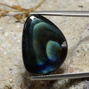 سبيكترولايت متعدد الألوان طبيعي، شكل خيالي، 9.82 قيراط، غير شفاف