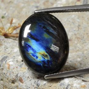 سبيكترولايت متعدد الألوان طبيعي، قصة بيضاوى، 10.68 قيراط، غير شفاف