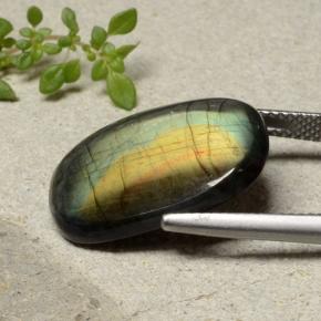 سبيكترولايت متعدد الألوان طبيعي، قطع وسادة، 11.04 قيراط، غير شفاف