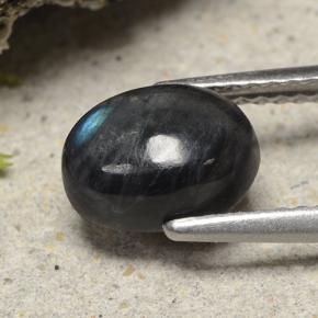 سبيكترولايت متعدد الألوان طبيعي، قصة بيضاوى، 1.49 قيراط، غير شفاف