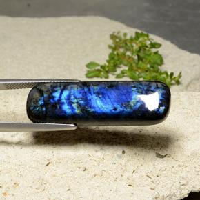 سبيكترولايت متعدد الألوان طبيعي، قطع وسادة، 20.47 قيراط، غير شفاف