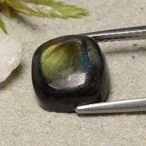 سبيكترولايت متعدد الألوان طبيعي، قطع وسادة، 4.12 قيراط، غير شفاف