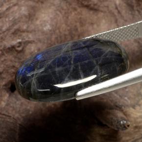 سبيكترولايت متعدد الألوان طبيعي، قصة بيضاوى، 16.82 قيراط، غير شفاف