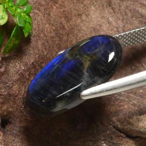 سبيكترولايت متعدد الألوان طبيعي، قصة بيضاوى، 5.07 قيراط، غير شفاف