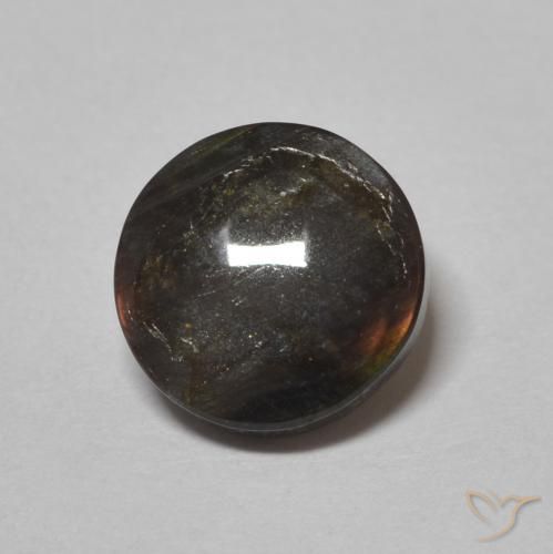 1.51ct طبيعي متعدد الألوان اسبكتروليت, دائري, غير شفاف