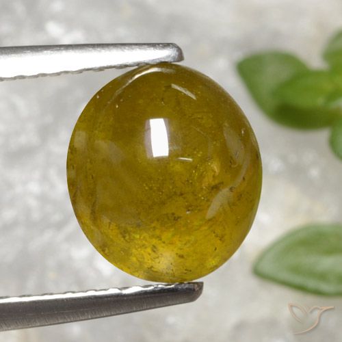 3.20ct طبيعي أصفر متوسط سيفين, بيضوي, نصف شفاف