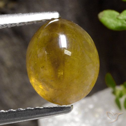 2.68ct طبيعي ذهب سيفين, بيضوي, نصف شفاف