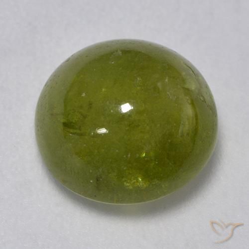 3.24ct طبيعي أخضر الغابات سيفين, دائري, نصف شفاف