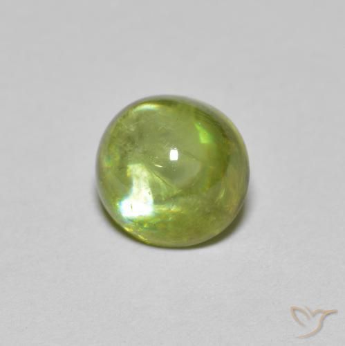 سيفين Medium Light Green طبيعي، بيضوي، 1.46 قيراط، شفاف