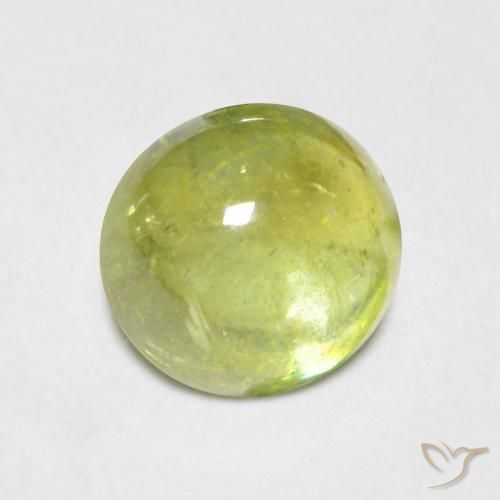 1.56ct طبيعي أصفر فاتح سيفين, بيضوي, شفاف