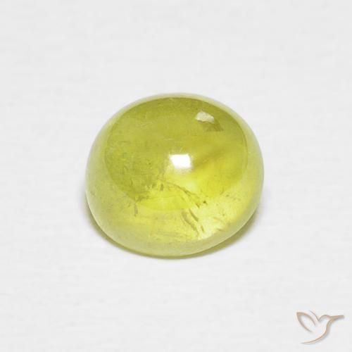 1.53ct طبيعي أخضر مصفر سيفين, بيضوي, شفاف