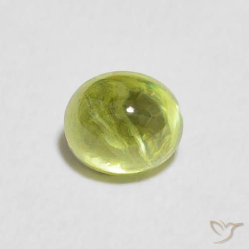 0.65ct طبيعي أخضر الغابة فاتح سيفين, بيضوي, شفاف