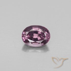 1.00ct طبيعي درجة لون الأحمر توت العليق الإسبنيل, بيضوي, قليلا جدا