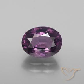 1.56ct طبيعي أرجوانى غامق الإسبنيل, بيضوي, قليلا جدا