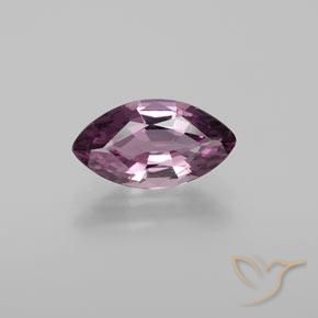1.58ct طبيعي أرجواني غامق الإسبنيل, ماركيز, قليلا جدا