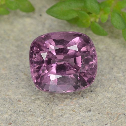 1.50ct طبيعي أرجوانى متوسط الإسبنيل, وسادة, VVS-VS