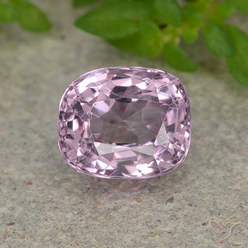 1.37ct طبيعي الخزامي الإسبنيل, وسادة, VVS-VS