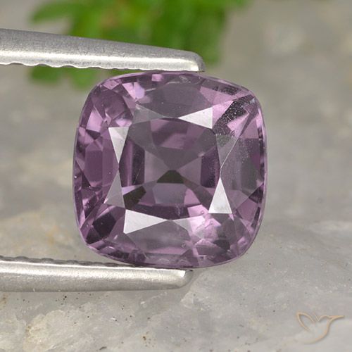1.43ct طبيعي أرجوانى متوسط الإسبنيل, وسادة, قليلا جدا