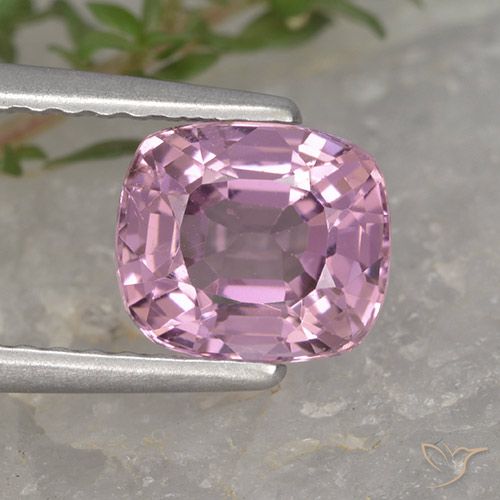 1.51ct طبيعي وردى-أرجوانى الإسبنيل, وسادة, VVS