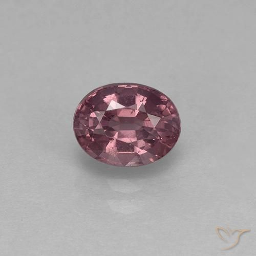 1.55ct طبيعي أرجواني محمر الإسبنيل, بيضوي, قليلا جدا