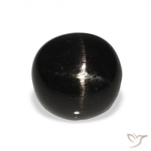 6.00ct طبيعي أسود نجمة ديوبسايد, دائري, غير شفاف
