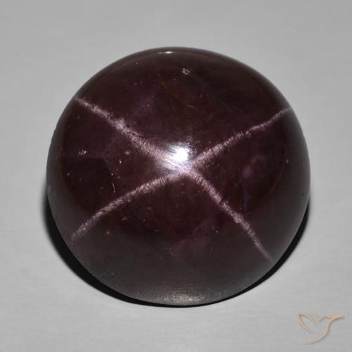 63.29ct طبيعي احمر غامق عقيق نجمى, بيضوي, غير شفاف