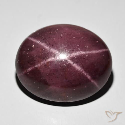64.50ct طبيعي أحمر ماهوجني عقيق نجمى, بيضوي, غير شفاف