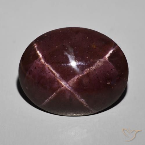 69.04ct طبيعي أحمر ماهوجني عقيق نجمى, بيضوي, غير شفاف