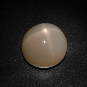 حجر القمر نجمي طبيعي بلون برتقالي كريمي، وزن ‎22.41‎ قيراط، شكل شفاف، مقاس ‎16.50‎ مم